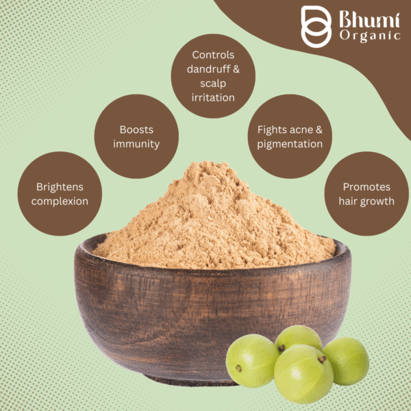 Bhumi Organic Amla Powder 500g | For Hair Growth, Immunity & Vitamin C