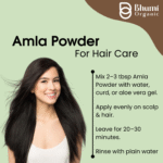 Bhumi Organic Amla Powder 500g | For Hair Growth, Immunity & Vitamin C