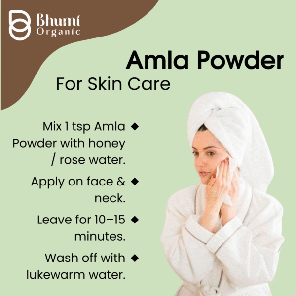 Bhumi Organic Amla Powder 500g | For Hair Growth, Immunity & Vitamin C