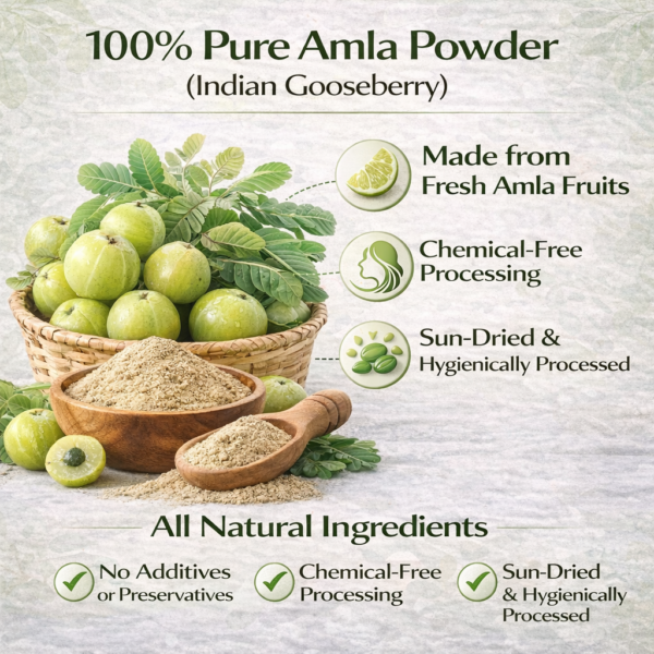 Bhumi Organic Amla Powder 500g | For Hair Growth, Immunity & Vitamin C