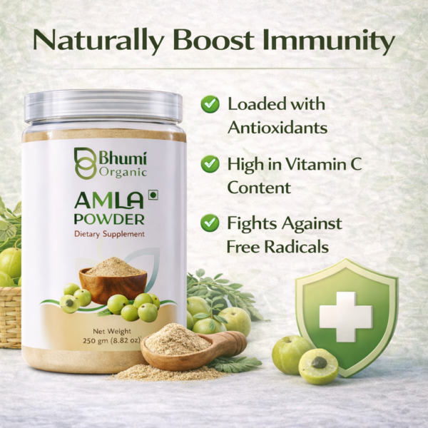Bhumi Organic Amla Powder 500g | For Hair Growth, Immunity & Vitamin C