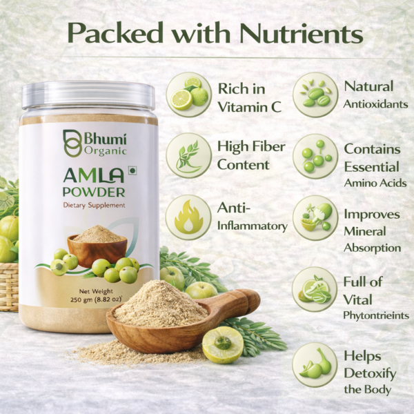 Bhumi Organic Amla Powder 500g | For Hair Growth, Immunity & Vitamin C