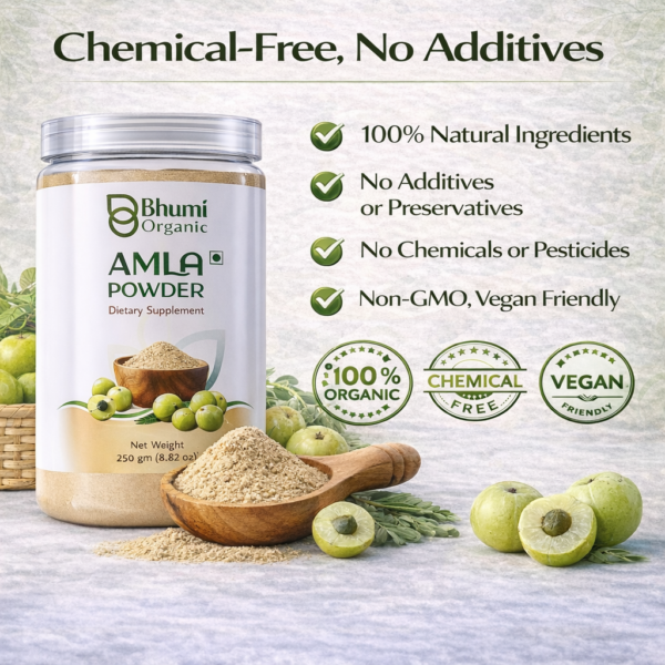 Bhumi Organic Amla Powder 500g | For Hair Growth, Immunity & Vitamin C
