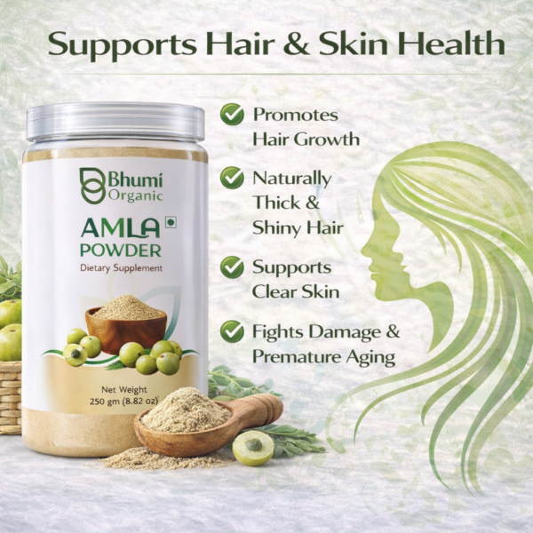 Bhumi Organic Amla Powder 500g | For Hair Growth, Immunity & Vitamin C