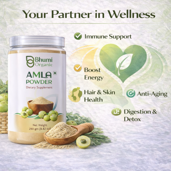 Bhumi Organic Amla Powder 500g | For Hair Growth, Immunity & Vitamin C