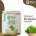Bhumi Organic Brahmi Powder 600g | For Memory, Focus & Hair Growth