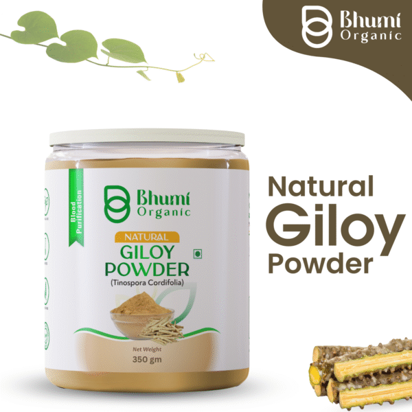 Bhumi Organic Giloy Powder 350g | Natural Immunity Booster & Fever Management