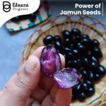 Bhumi Organic Jamun Seed Powder 600g | For Blood Sugar Support & Metabolic Health