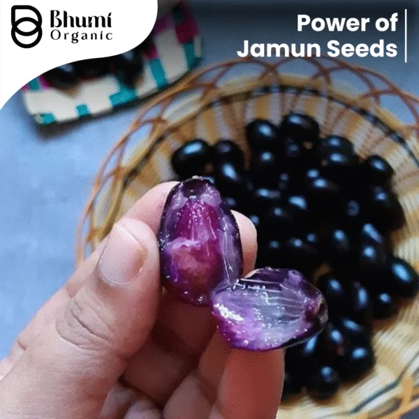 Bhumi Organic Jamun Seed Powder 600g | For Blood Sugar Support & Metabolic Health