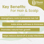 Organic Bhringraj Powder | 100% Pure Eclipta Alba Leaf Powder for Hair Growth & Scalp Health | 200g