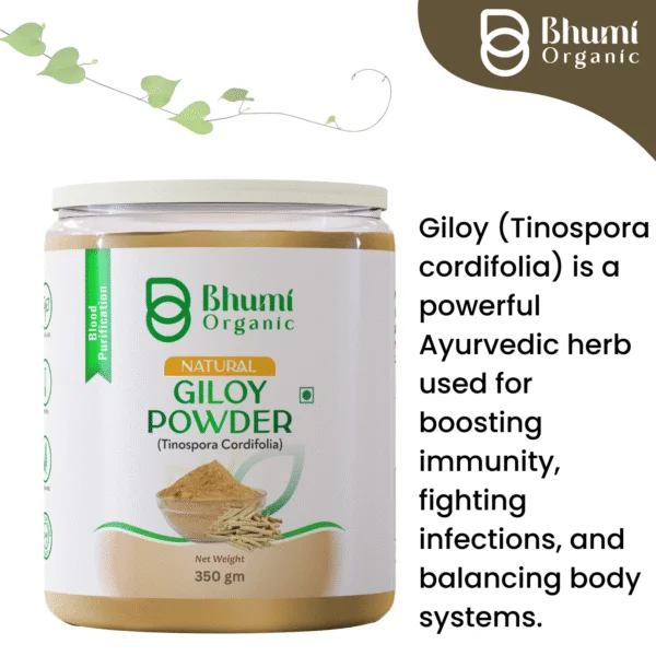 Bhumi Organic Giloy Powder 350g | Natural Immunity Booster & Fever Management