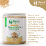 Bhumi Organic Punarnava Powder 500g | For Kidney Health & Natural Detox
