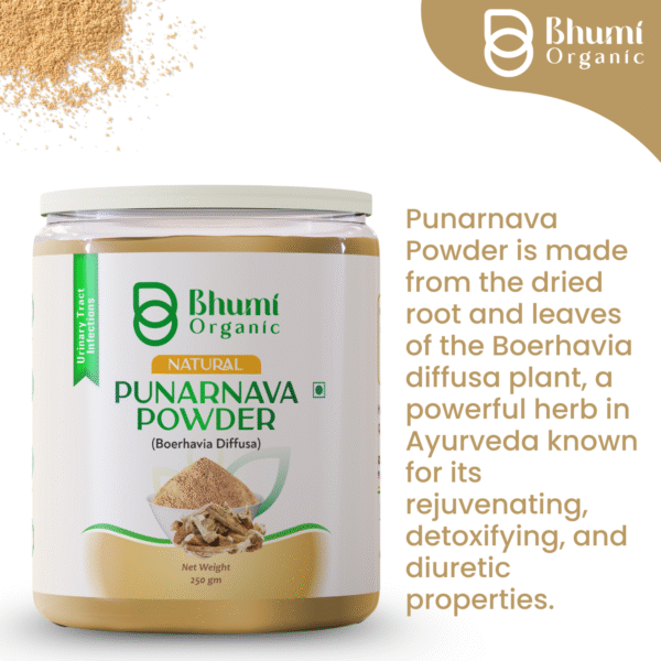 Bhumi Organic Punarnava Powder 500g | For Kidney Health & Natural Detox