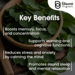 Bhumi Organic  Brahmi Powder Natural Bacopa Monnieri Leaf Powder, 200 gm