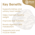 Bhumi Organic Punarnava Powder 500g | For Kidney Health & Natural Detox