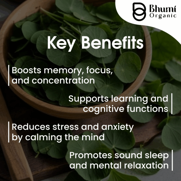 Bhumi Organic  Brahmi Powder Natural Bacopa Monnieri Leaf Powder, 200 gm