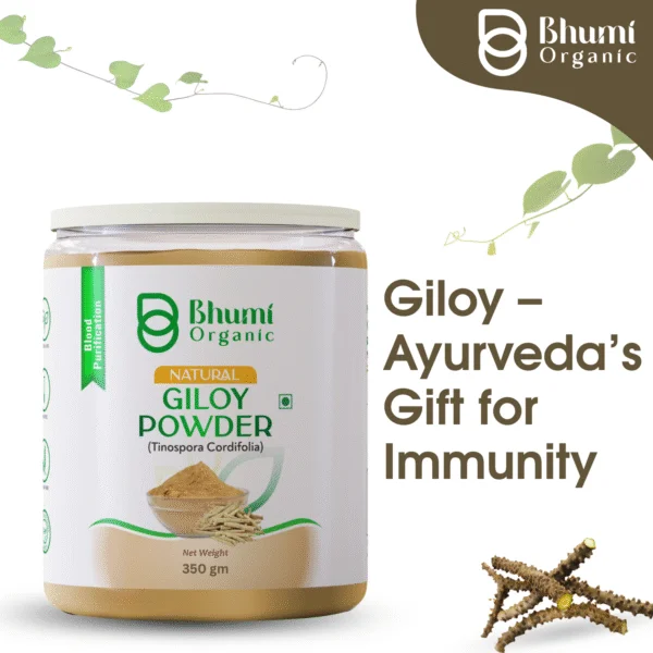 Bhumi Organic Giloy Powder 350g | Natural Immunity Booster & Fever Management