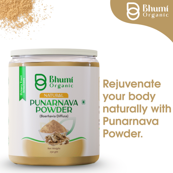 Bhumi Organic Punarnava Powder 500g | For Kidney Health & Natural Detox