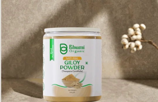 Amla powder A++++ (700 x 533 px) (4)