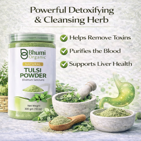 Bhumi Organic Tulsi Powder 300g | For Immunity, Stress Relief & Respiratory Health