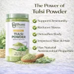 Bhumi Organic Tulsi Powder 300g | For Immunity, Stress Relief & Respiratory Health