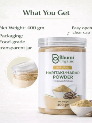 ChatGPT Image Jan 11, 2026, 12_47_34 AM