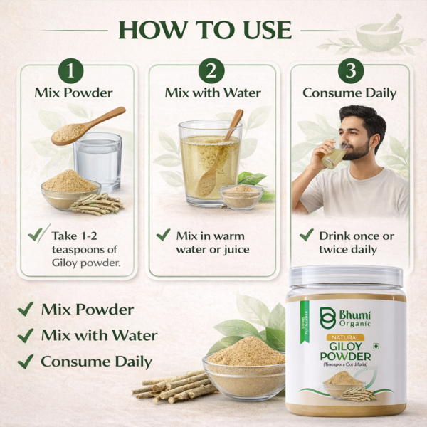 Bhumi Organic Giloy Powder 350g | Natural Immunity Booster & Fever Management