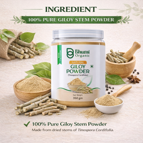 Bhumi Organic Giloy Powder 350g | Natural Immunity Booster & Fever Management