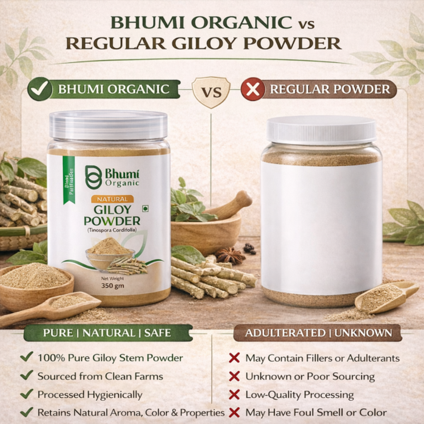 Bhumi Organic Giloy Powder 350g | Natural Immunity Booster & Fever Management