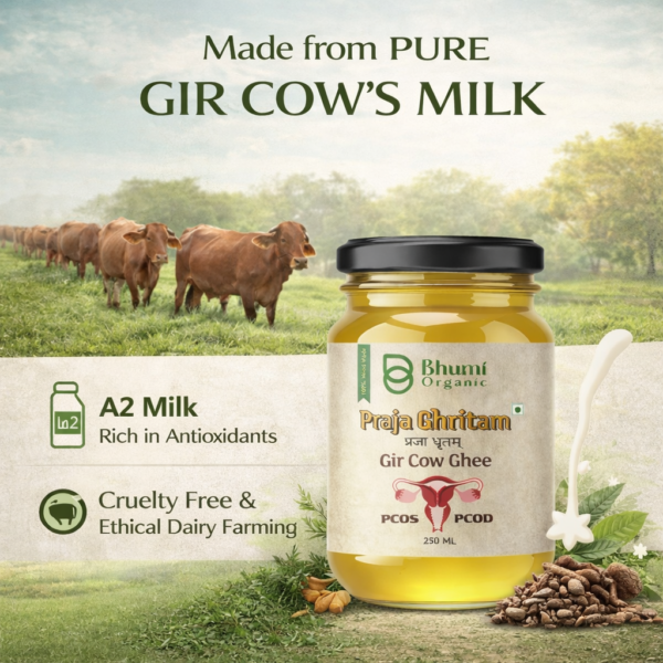 Praja Ghritam for PCOS/PCOD | Ayurvedic Hormonal Balance Ghee | 500ML