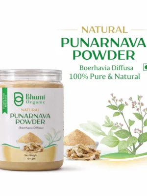 ChatGPT Image Jan 7, 2026, 10_59_32 AM