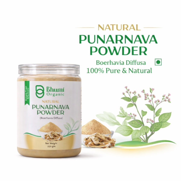 Bhumi Organic Punarnava Powder 500g | For Kidney Health & Natural Detox