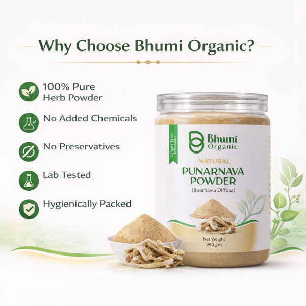 Bhumi Organic Punarnava Powder 500g | For Kidney Health & Natural Detox