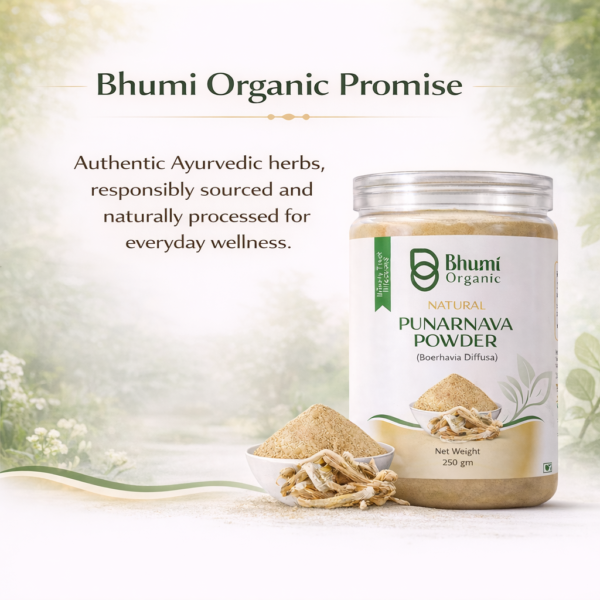 Bhumi Organic Punarnava Powder 500g | For Kidney Health & Natural Detox