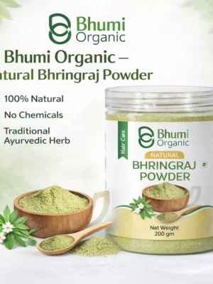 ChatGPT Image Jan 8, 2026, 01_49_35 AM