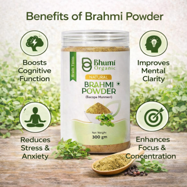 Bhumi Organic Brahmi Powder 600g | For Memory, Focus & Hair Growth