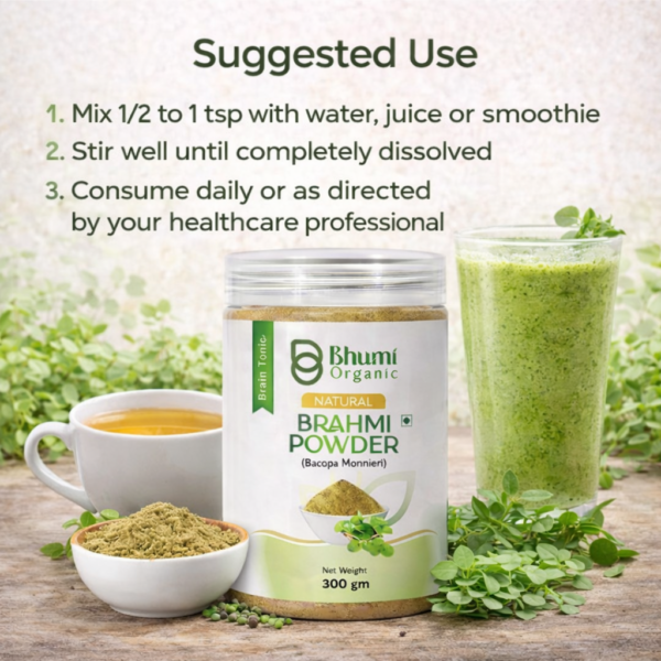 Bhumi Organic Brahmi Powder 600g | For Memory, Focus & Hair Growth