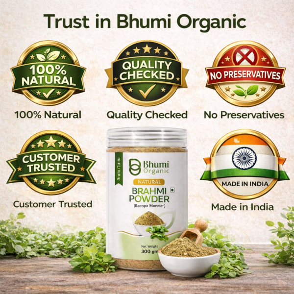 Bhumi Organic Brahmi Powder 600g | For Memory, Focus & Hair Growth