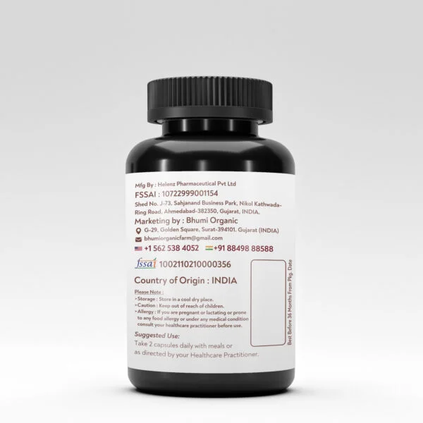Bhumi Organic , Lion's Mane , Congnition+ MUSHROOM EXTRACT POWDER , 1000 MG