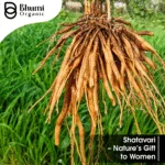 Bhumi Organic Shatavari Powder 400g | For Women's Hormonal Balance & Vitality
