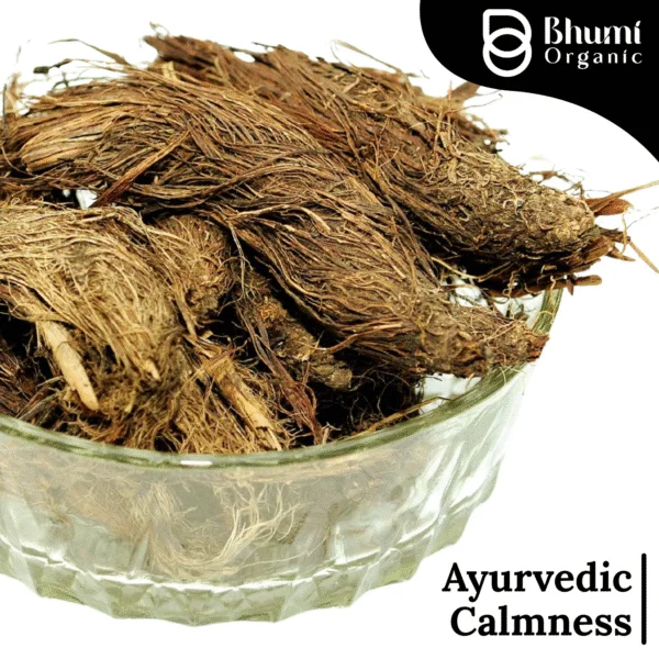 Bhumi Organic Jatamansi Powder 360g | For Sound Sleep, Stress Relief & Hair Growth