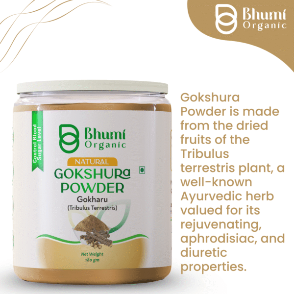 Bhumi Organic Gokshura Powder 360g | For Energy, Strength & Urinary Health