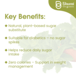 Bhumi Organic Green Stevia Leaf Powder 400g | Zero Calorie Natural Sweetener