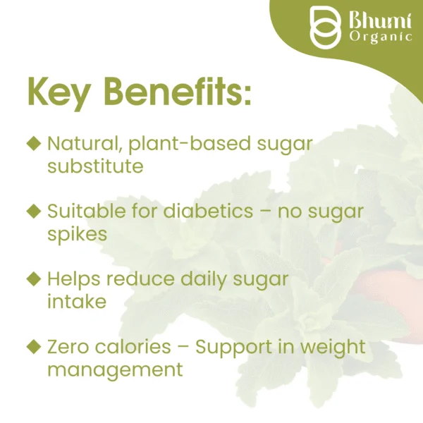 Bhumi Organic Green Stevia Leaf Powder 400g | Zero Calorie Natural Sweetener