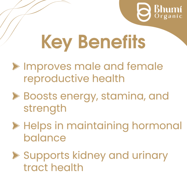 Bhumi Organic Gokshura Powder 360g | For Energy, Strength & Urinary Health