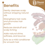 Bhumi Organic Shikakai Powder 400g | Natural Shampoo for Hair Fall & Dandruff