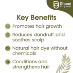 Bhumi Organic Indigo Powder 350g | Natural Black Hair Dye with Henna