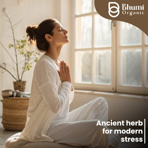 Bhumi Organic Jatamansi Powder 360g | For Sound Sleep, Stress Relief & Hair Growth