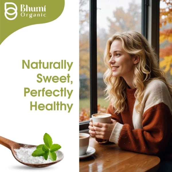Bhumi Organic Green Stevia Leaf Powder 400g | Zero Calorie Natural Sweetener