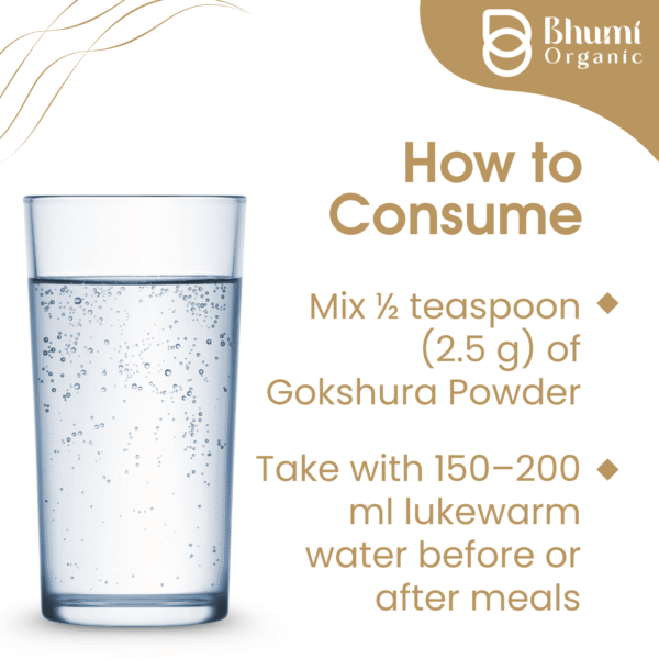 Bhumi Organic Gokshura Powder 360g | For Energy, Strength & Urinary Health